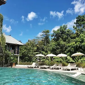 巴厘岛宾艮海滩波希住宿加早餐旅馆 住宿加早餐酒店